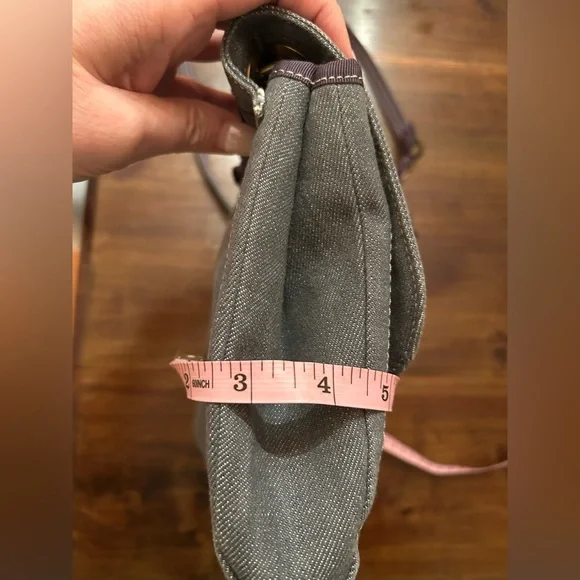 Gray Denim Lanvin Bag - Picture 11 of 11